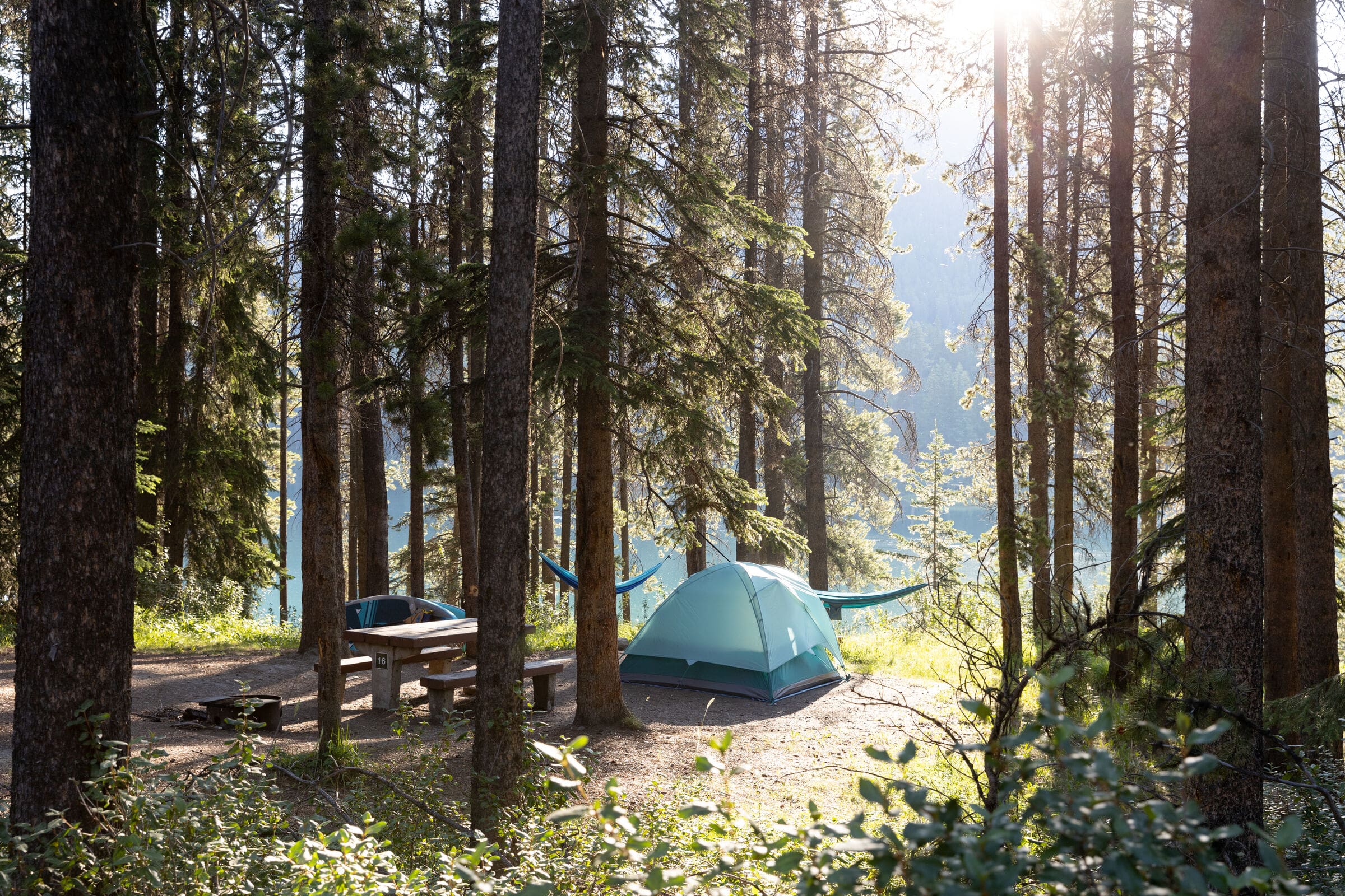 Popular campsites