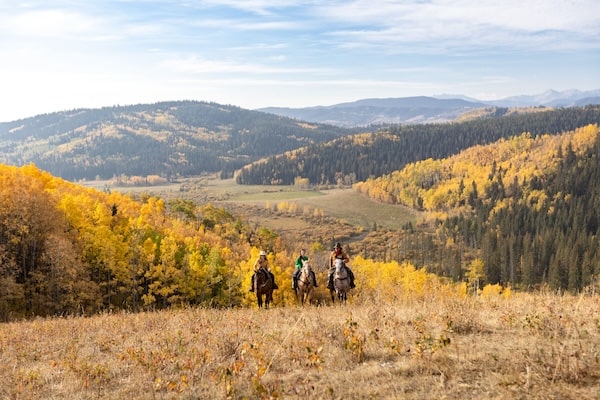 Foothills